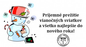 vianocne_zelania--karate.jpg